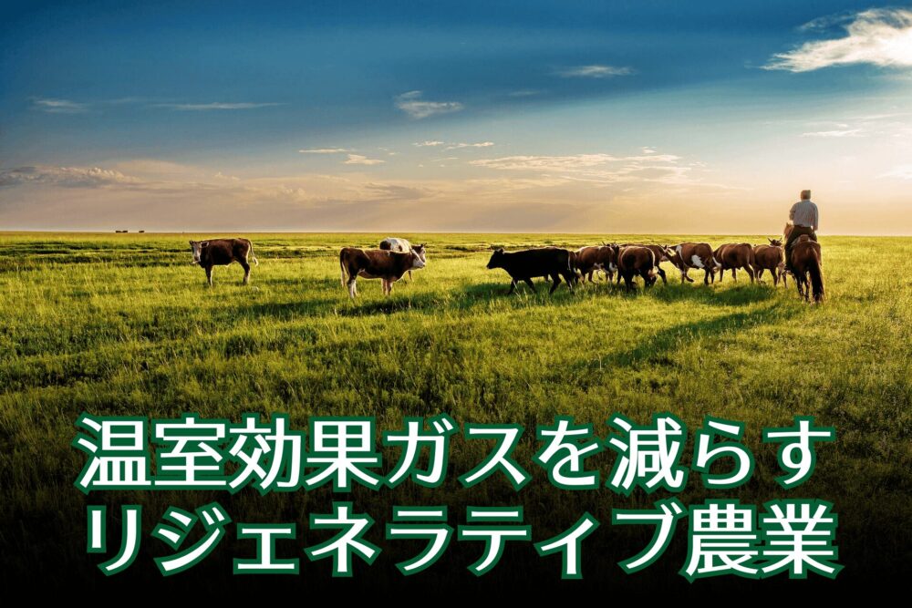 リジェネラティブ農業と牛たち