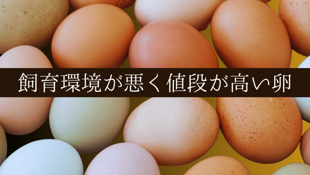色々なたまご